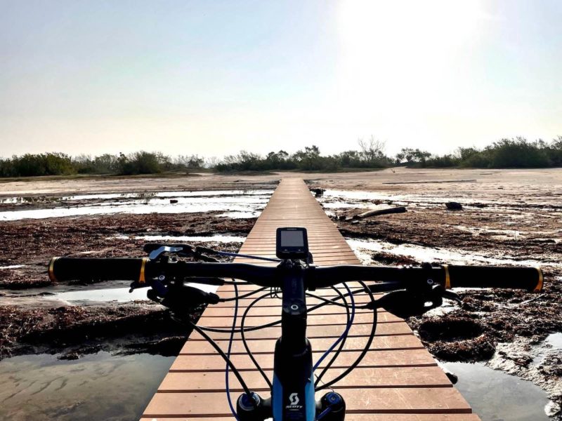 Bikerumor pic of the day a view of the handlebars of a mountain bike as it is headed across a wooden bridge over a wetland. The sun is high and bright over the flat landscape.