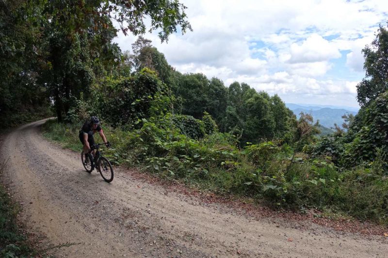 bikerumor pic of the day a person on a gravel bicycle is on a gravel road on the side of a mountain looking out over the tops of trees and a cloudy day.