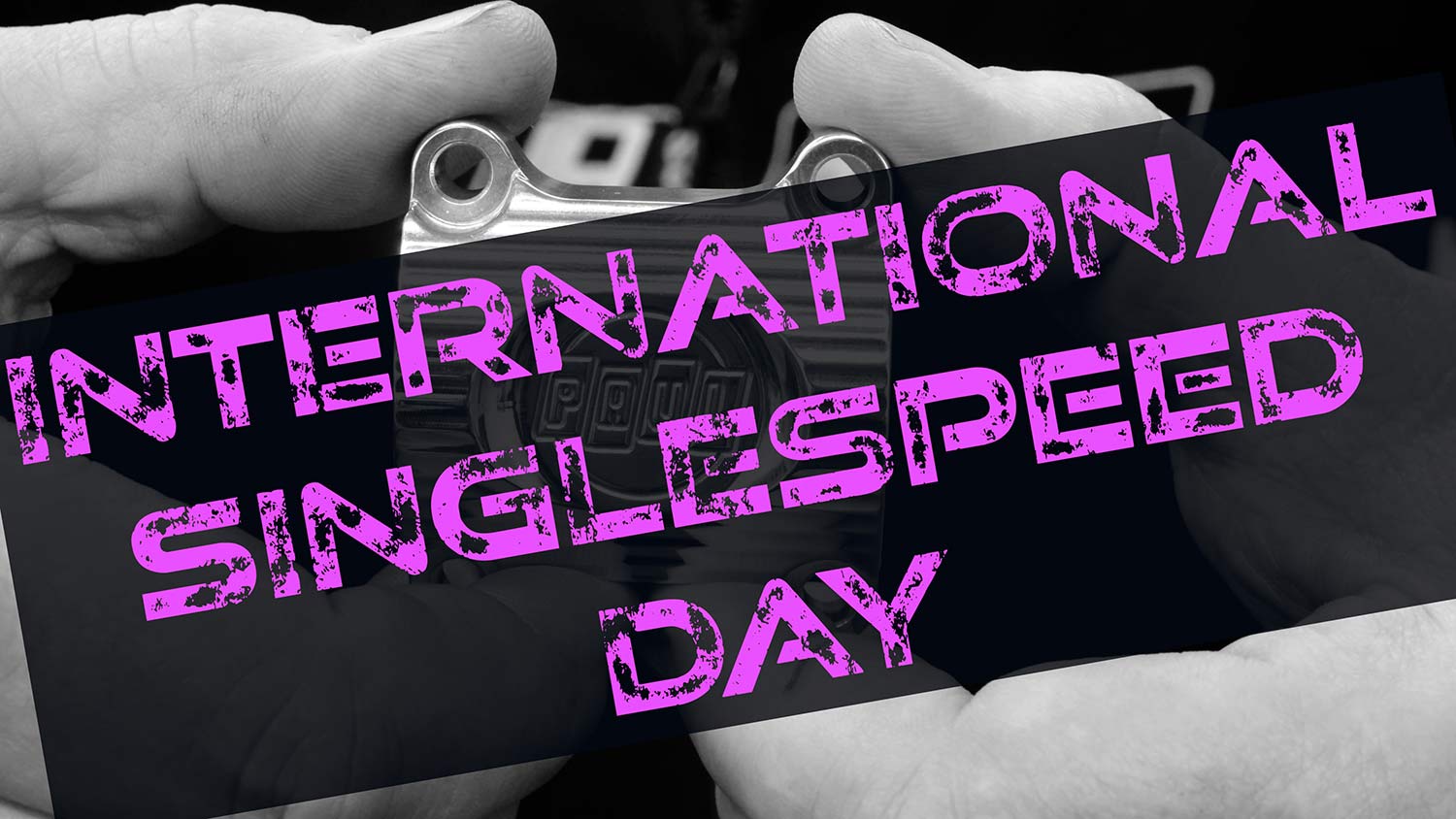 International SingleSpeed Day: November 2nd, 2021