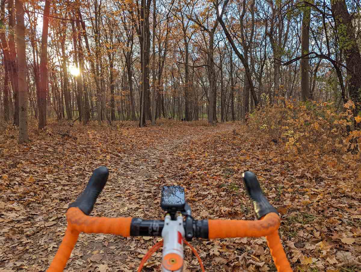 bikerumor pic of the day a view from the orange tape wrapped handlebar of a bicycle on a leaf covered trail, the sun is peeking through the trees that surround the trail.