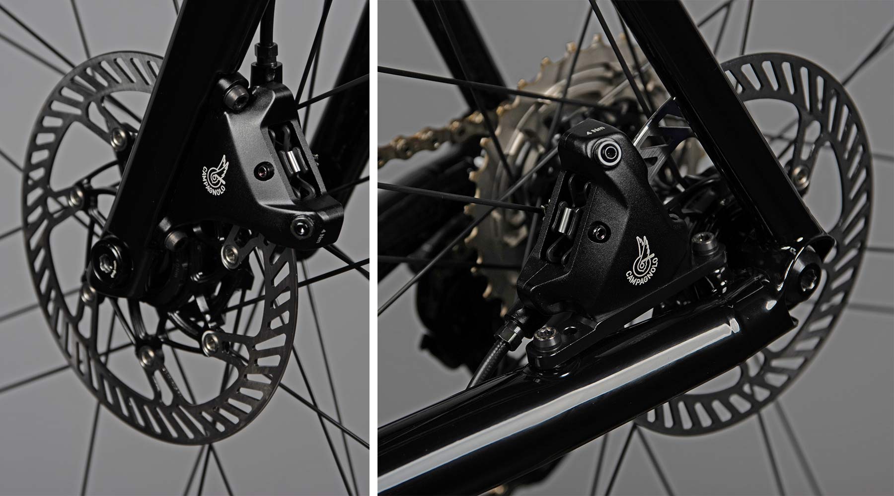 Pegoretti Round Disc modern stainless steel disc brake road bike, made-in-Italy, 12mm thru-axle, flat mount disc brakes