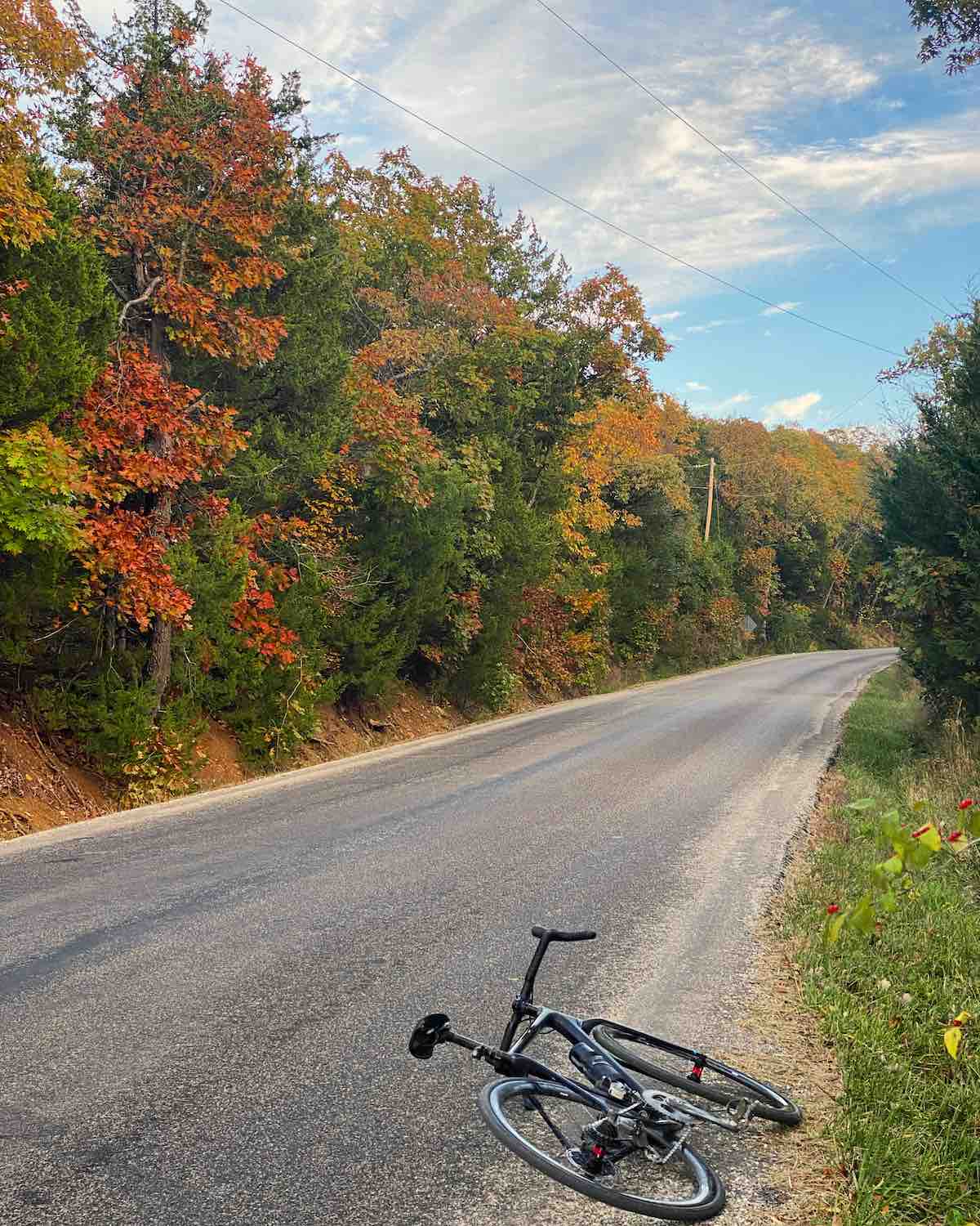 bikerumor pic of the day a road bike lays on its side by a road with trees in fall colors banking it, the sky is blue with white clouds