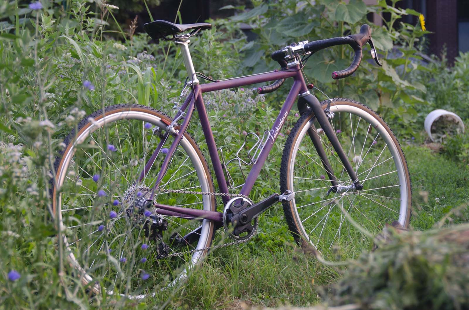 a wide shot of a pachyderm bike frame
