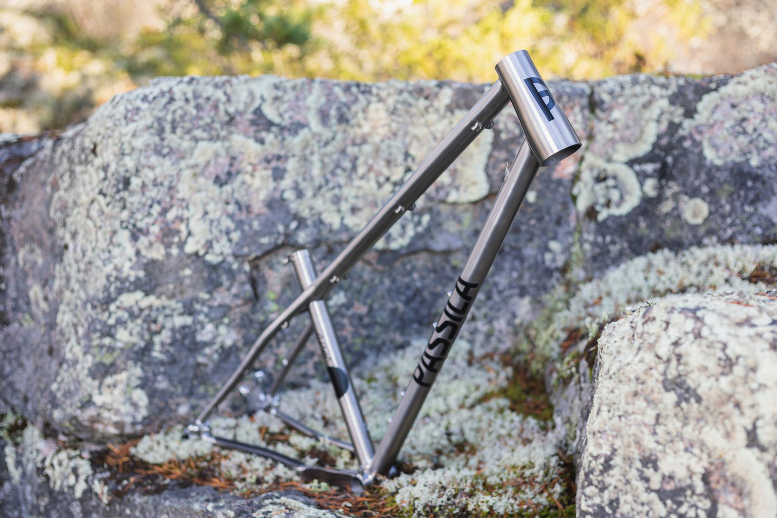 passila juntu titanium downcountry hardtail frame with sliding dropouts