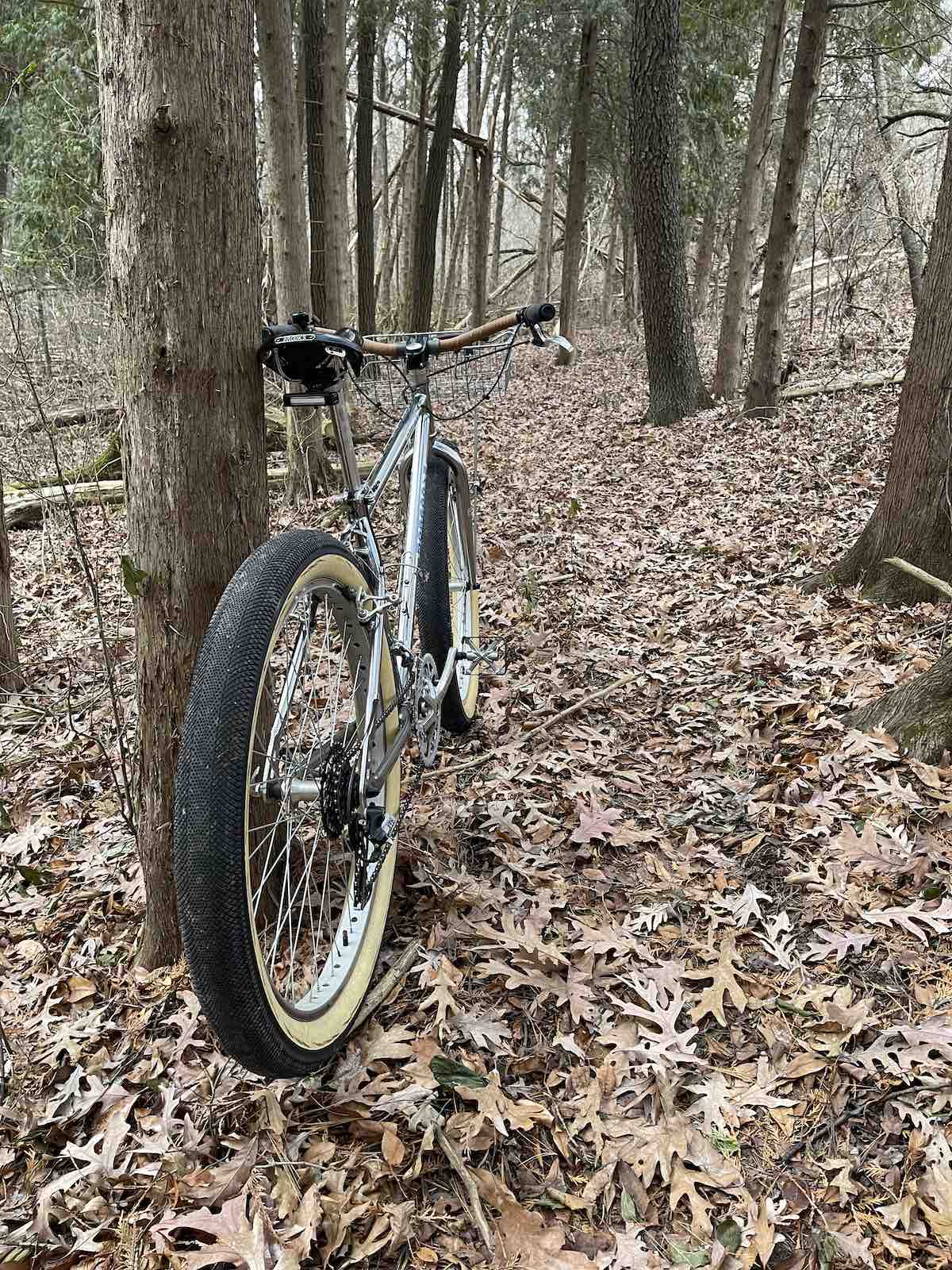 bikerumor pic of the day a bicycle leans against a small tree trunk on a trail covered in dead leaves.