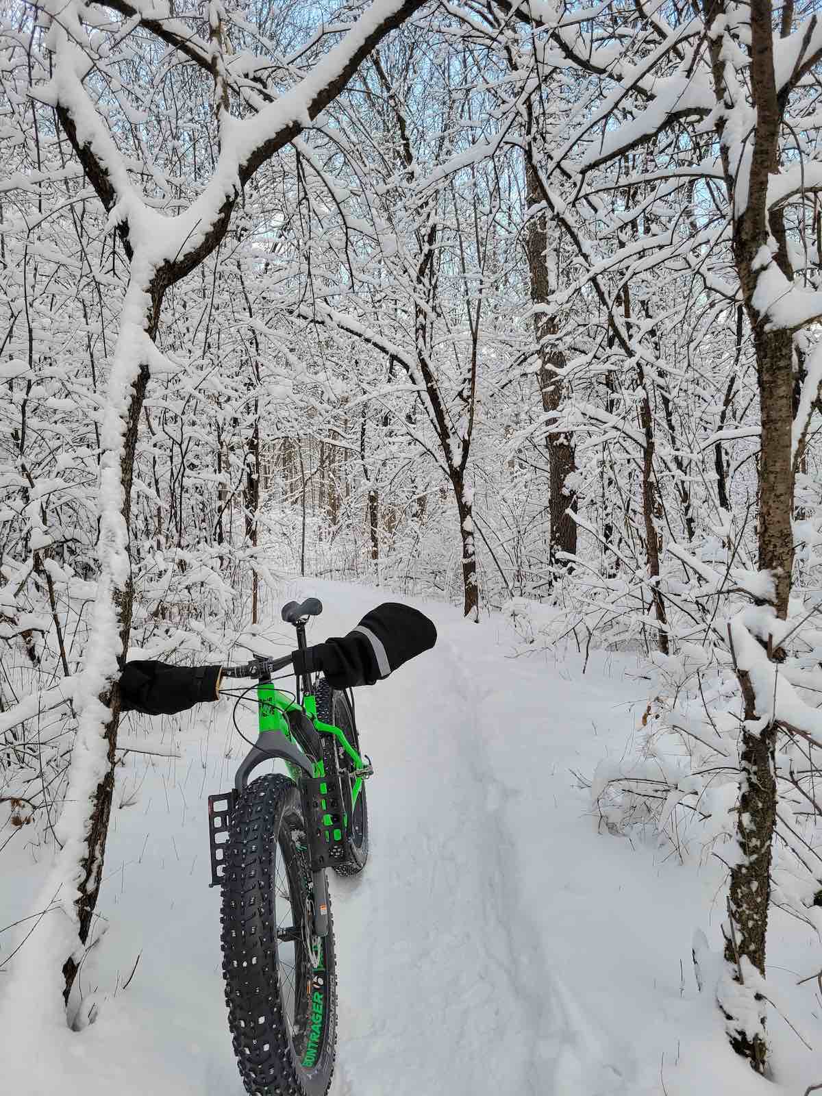 bikerumor pic of the day a green fat bike is leaning against a tree on a snow covered trail, snow is covering the trees surrounding the trail.