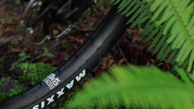 Flat-resistant BlackBird Send aluminum rims & wheels from Ibis’ new component brand ready to soar
