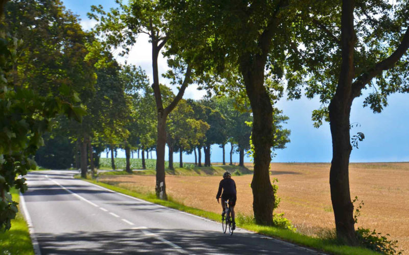 Ride and Seek, 36 day Bike Across Europe Tour, Germany