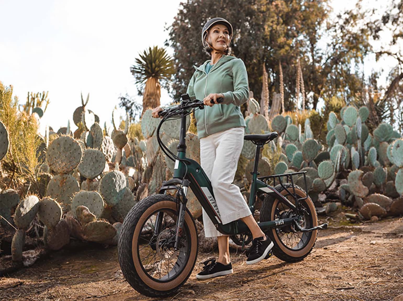 folding e-bike with fat tires comfortable ride