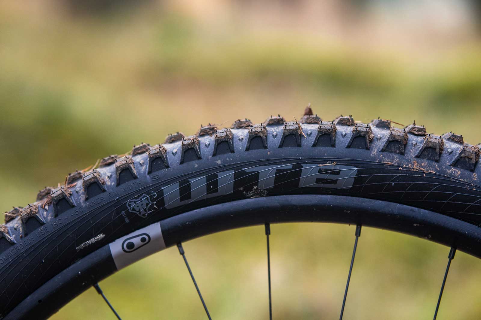 Maxxis 29 Mtb Tires Wheels And Tyres Tyres WTB Ranger