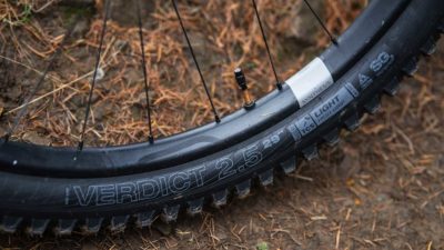 Review: WTB Verdict 29″ x 2.5″ Light High Grip SG2 Mountain Bike Tire