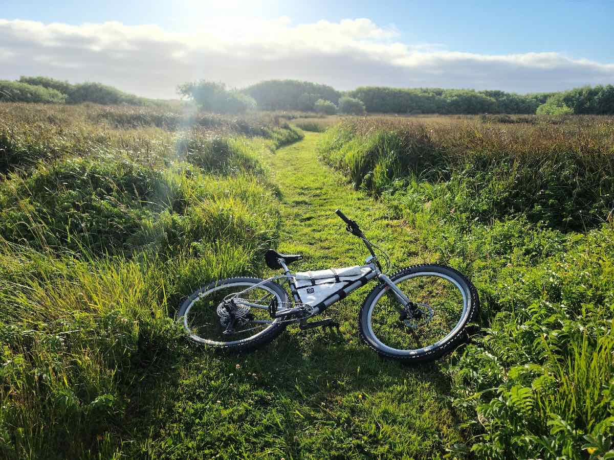 bikerumor pic of the day a bicycle is laid down in a grass covered trail that heads out through a grassy open field towards the tree line, everything is lush and green and the sun is low in the sky almost blinding the viewer.