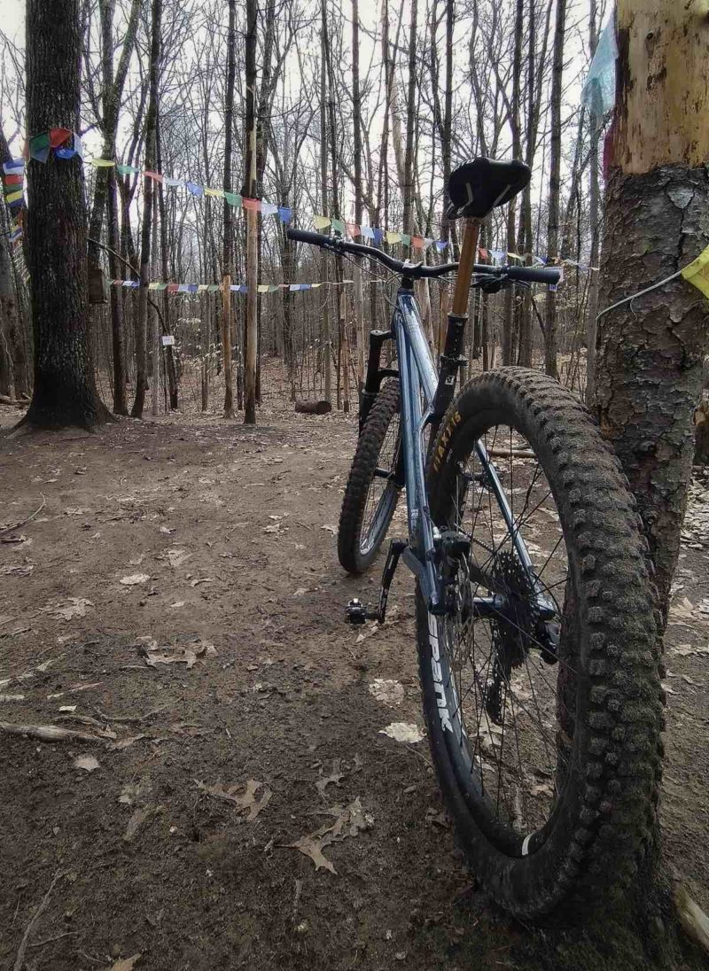 bikerumor pic of the day a mountain bike is faced away from the camera and leaning against a small tree on a dirt trail, the trees do not have leaves yet and there are colorful flags hung across the trail in a v shape