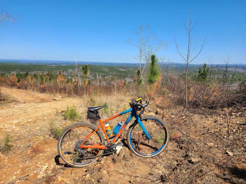 bikerumor pic of the day a gravel bicycle is on a dirt section near a gravel road there are scrubby pine trees and grasses, the bike is on a high area overlooking large low flatland, the sky is clear and blue