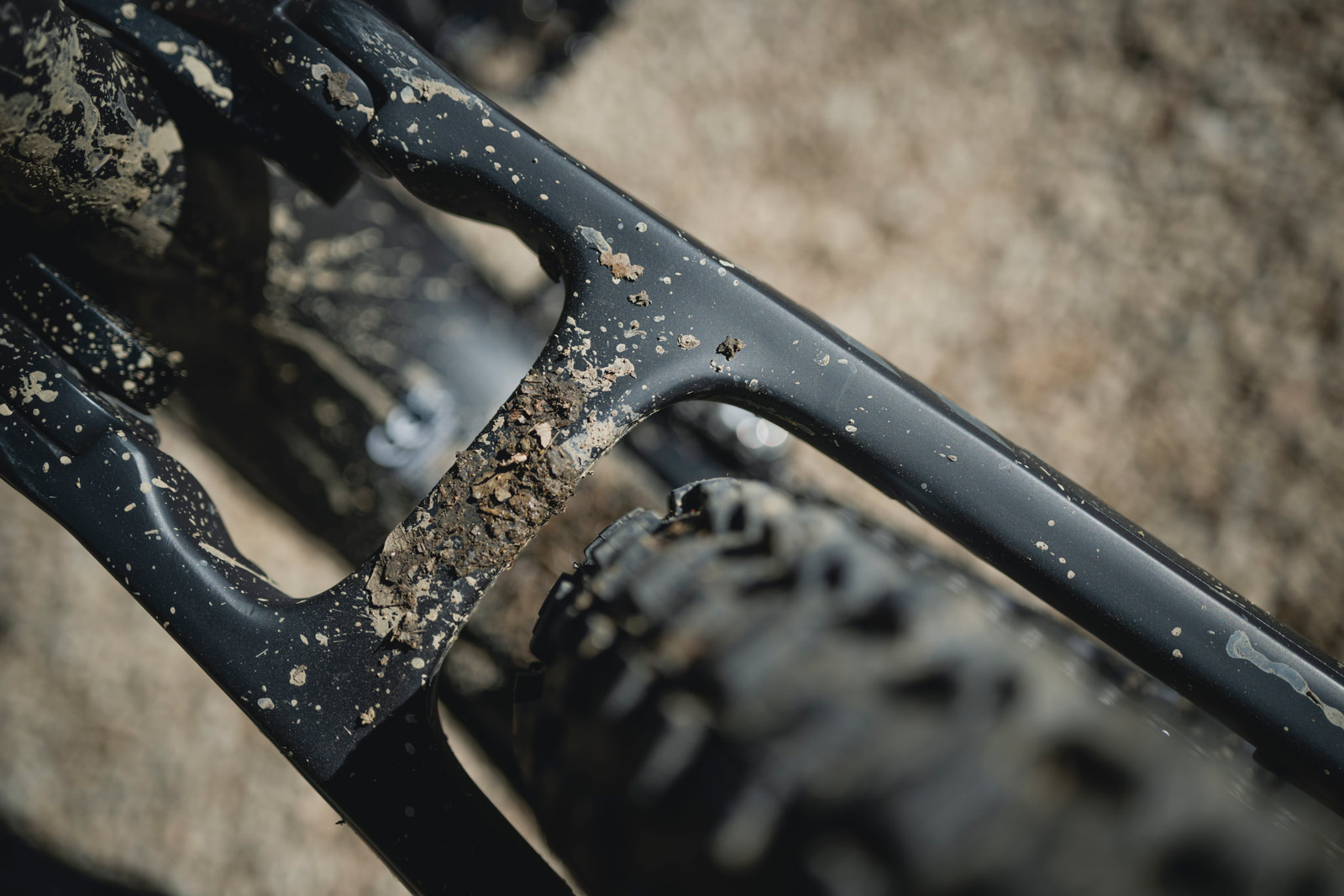 spectral on seat stay tire clearance