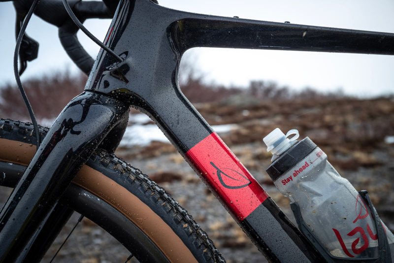 Lauf Seigla gravel bike closeup details of the head tube