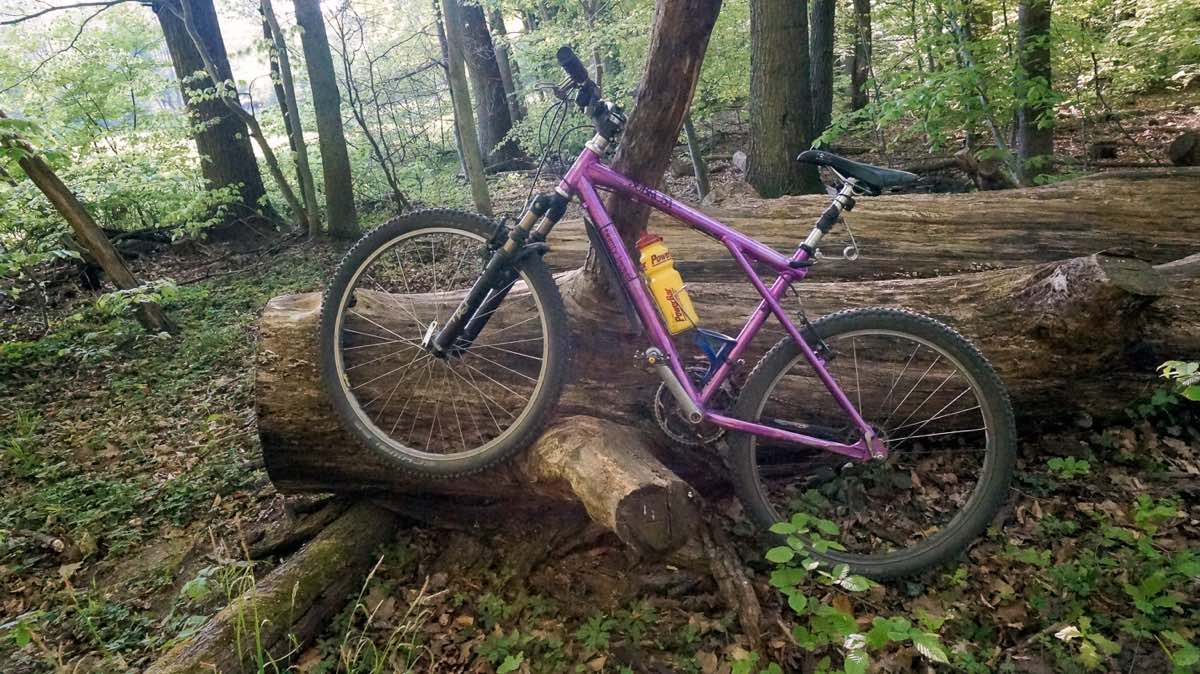bikerumor pic of the day a purple bike leans against a log in the woods