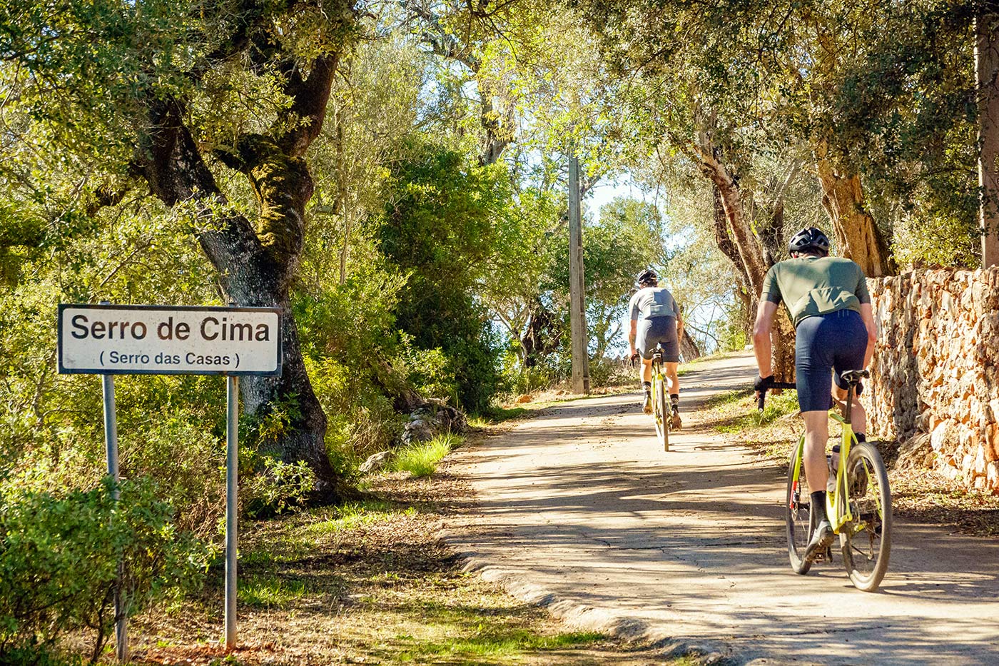 riding bikes through olive trees and villages in portugal