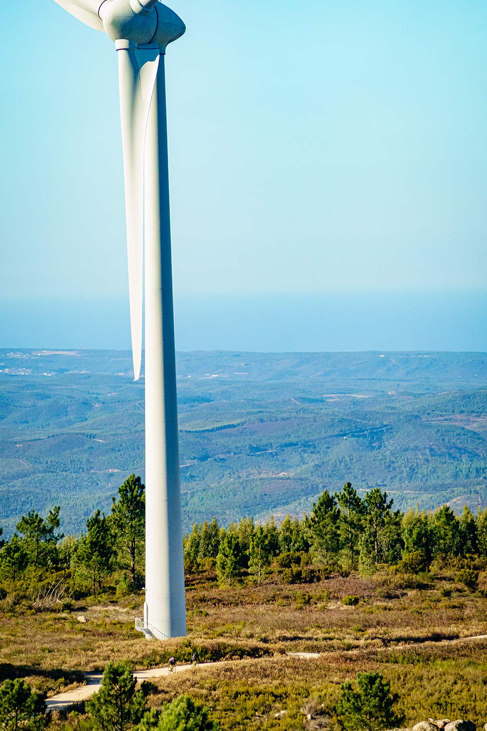 seeing windmills in the forest on thomson gravel bike tour in portugal