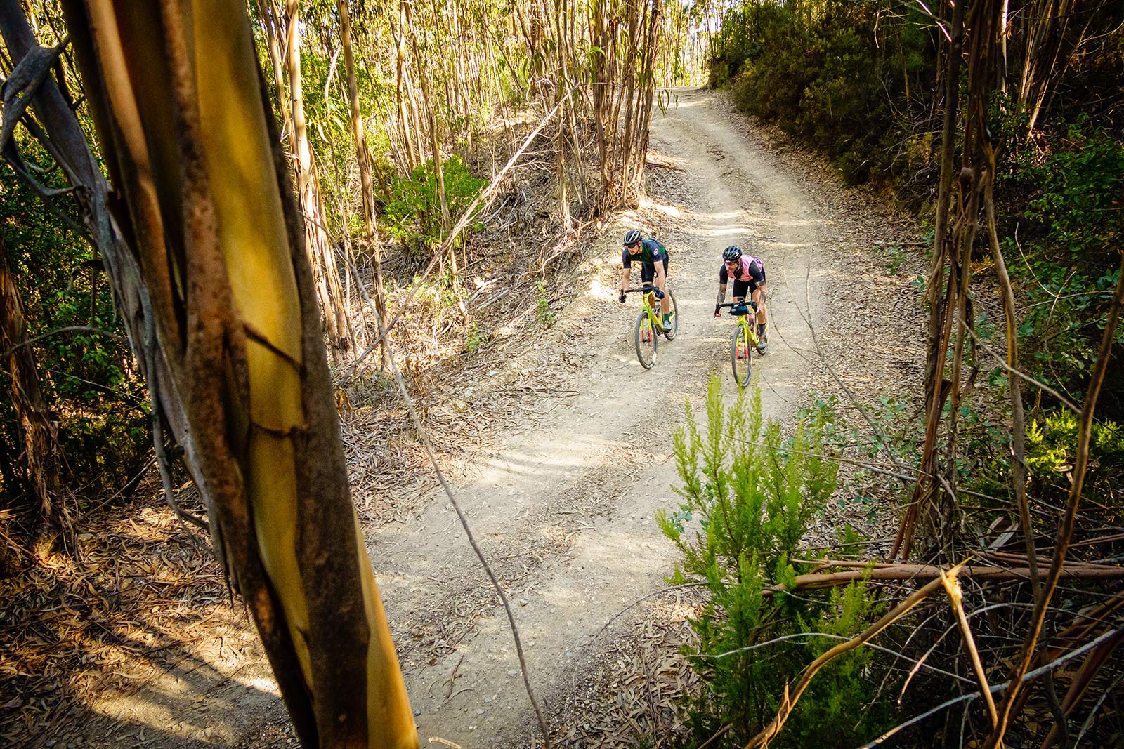 riding through the forest on thomson gravel bike tour in portugal