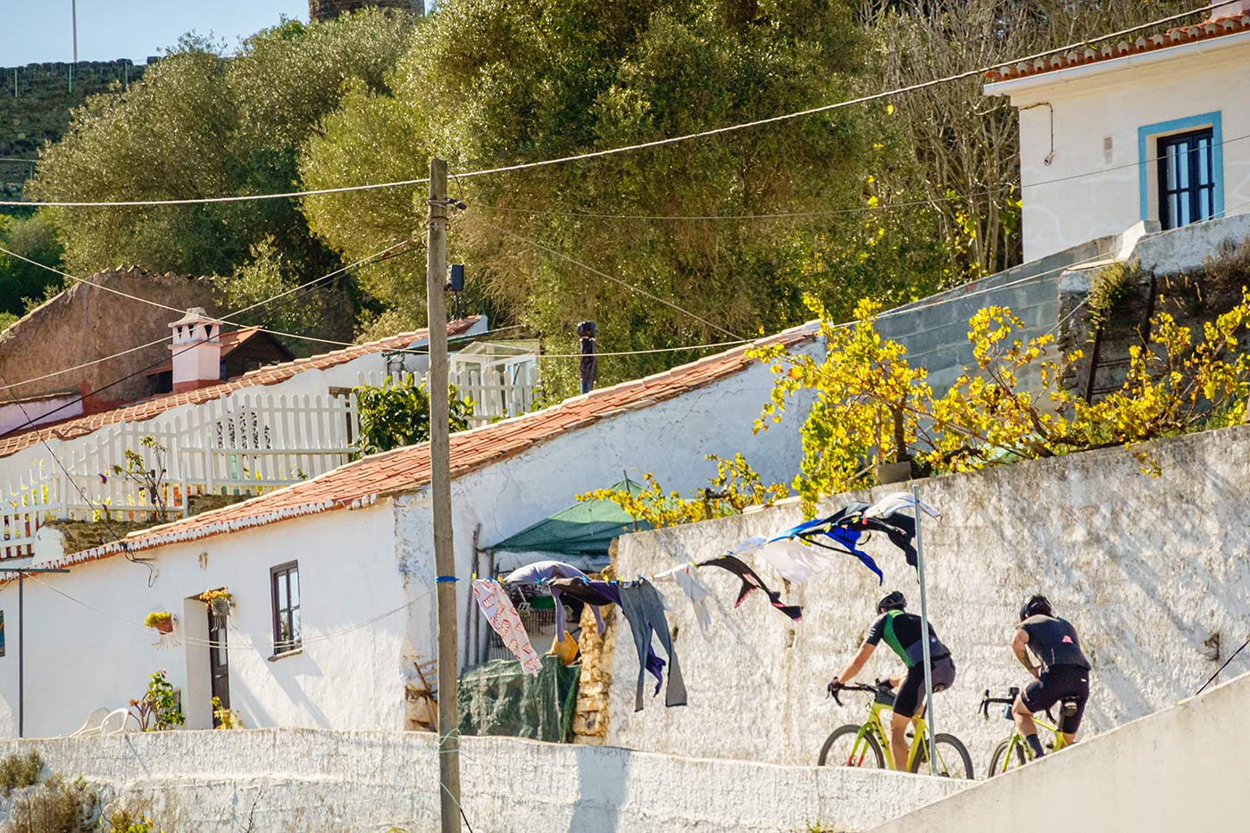coastal riding riding through the forest on thomson gravel bike tour in portugal