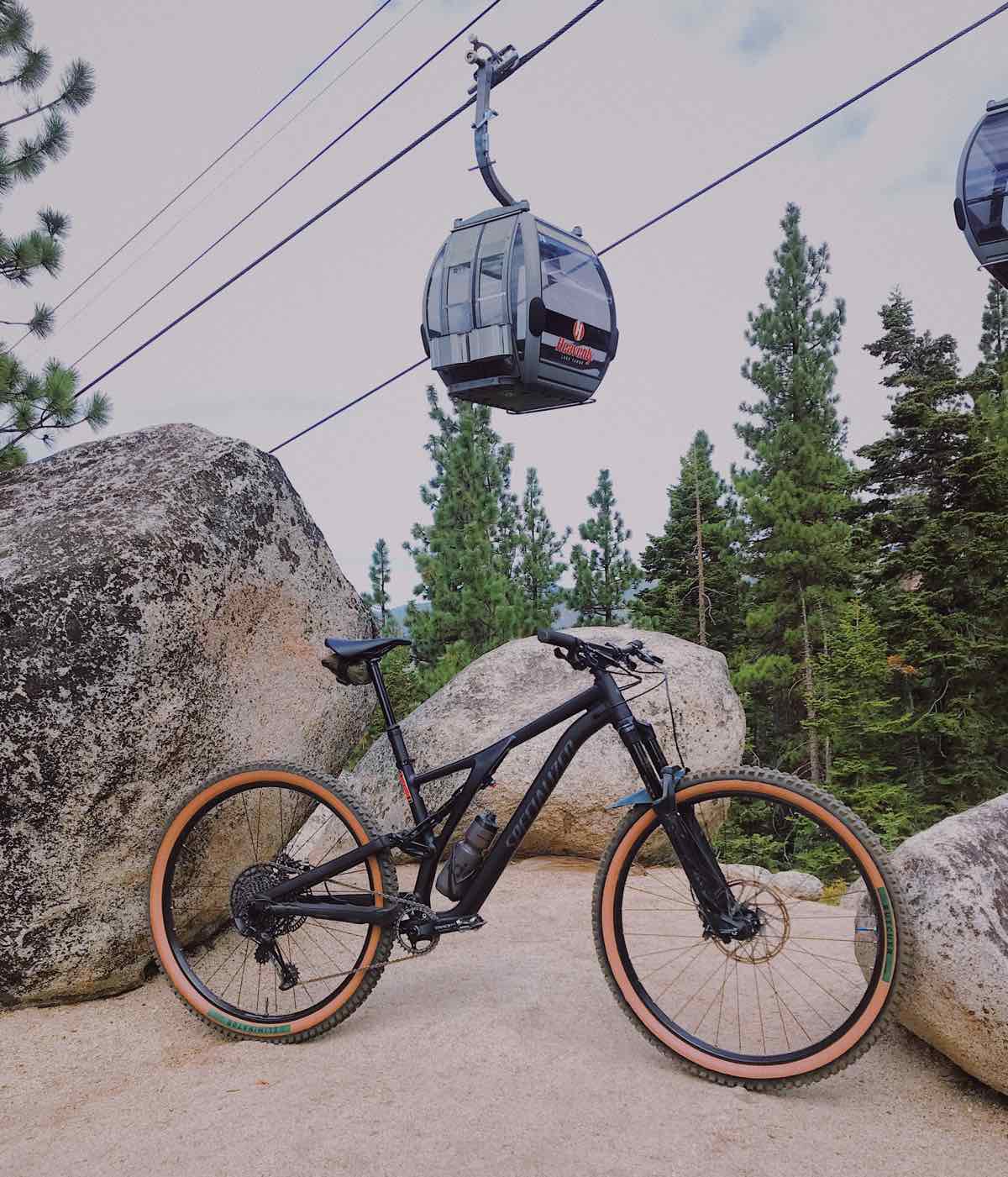 bikerumor pic of the day a mountain bike is near some lake boulders underneath a gondola surrounded by large pine trees.