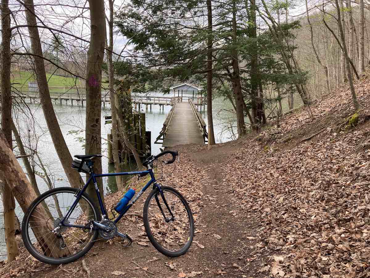 bikerumor pic of the day a gravel bicycle leans against a small clutch of trees on a dirt trail next to a lake, there are leaves on the ground and the trees are just beginning to leaf out for spring.