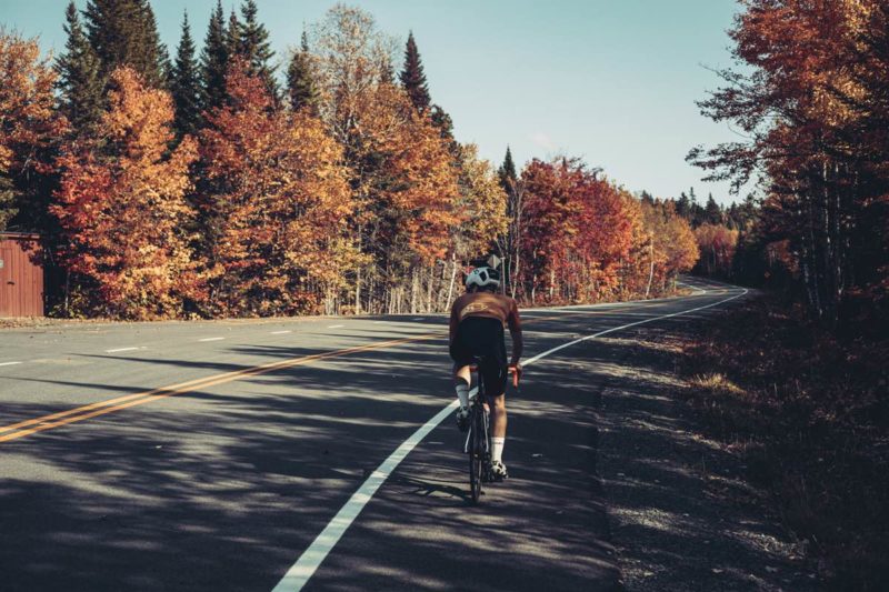 bikerumor pic of the day a cyclist is riding on a road with trees on either side that have leaves in brown and golds, the sun is low and the shadows are long on the road.