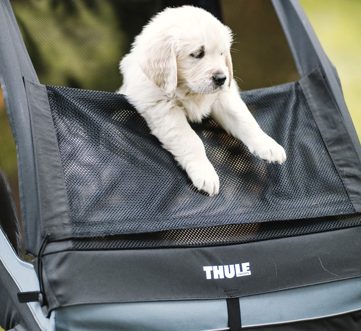 Thule Kids' Car Seats and Dog Transport plans, bike trailer puppy upgrade