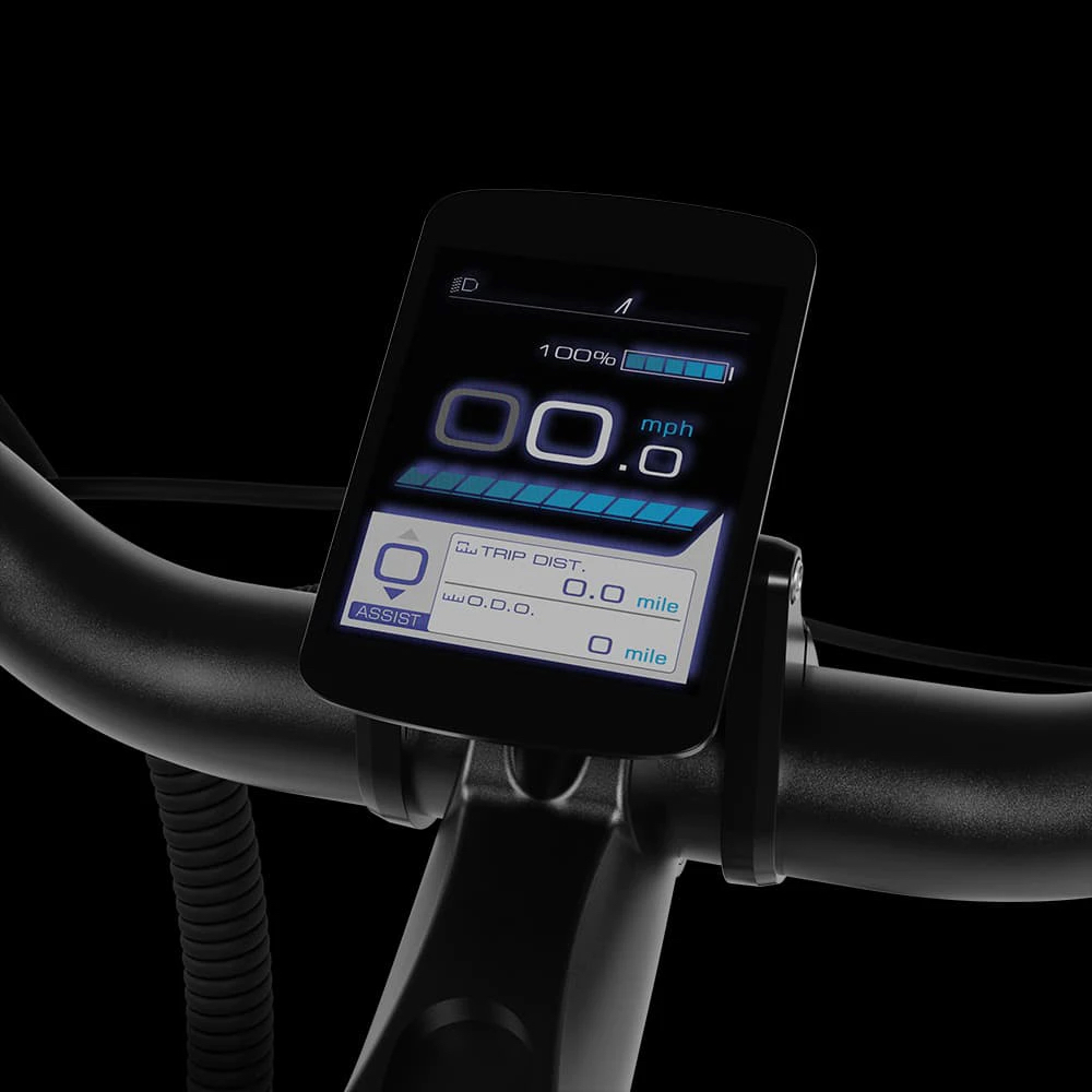 Aventon Pace LCD color display.