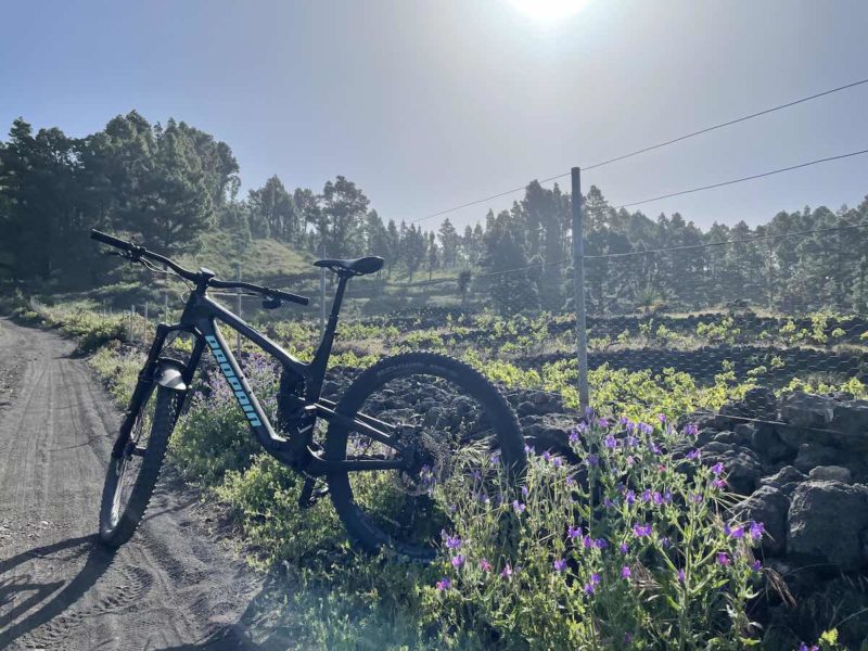 bikerumor pic of the day a mountain bike is in some grass with purple flowers on the side of a dirt road, there is a small farm to the side surrounded by trees and the sun is low in the sky creating a slight glare in the photo.