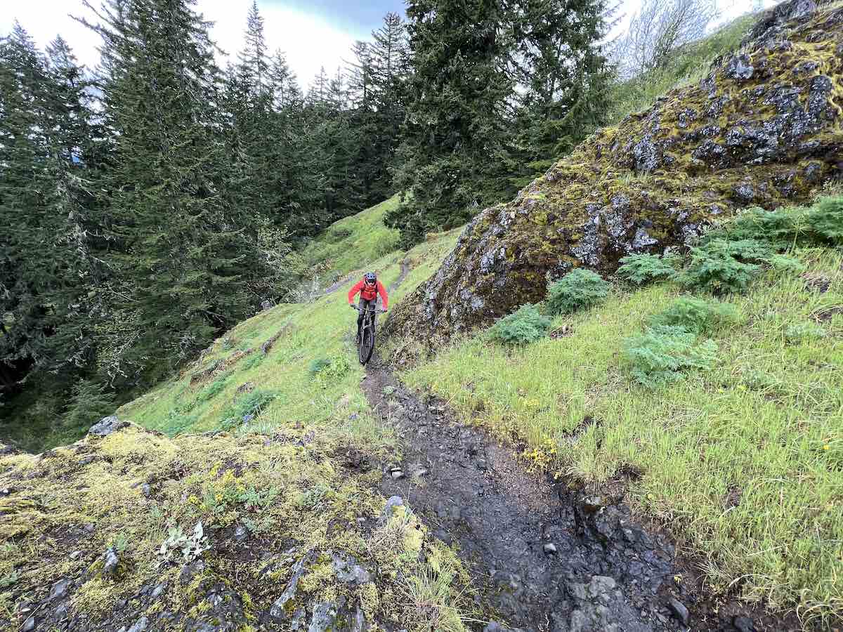 bikerumor pic of the day a mountain biker is on a narrow trail on a steep incline covered in green grass and pine trees and rocky outcroppings, the rider is wearing a red jacket and the day is overcast.