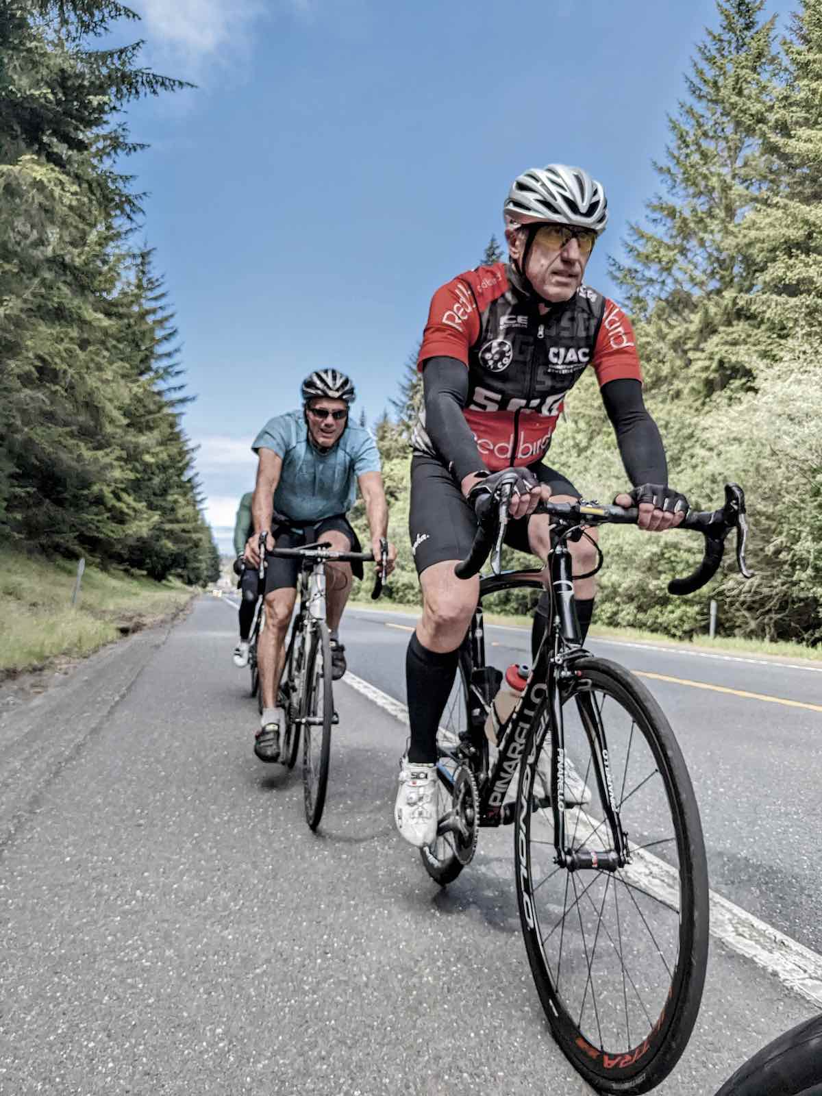 bikerumor pic of the day a photo of a group of cyclists riding along the edge of a road towards the camera, the trees surrounding the road are tall and evergreen.