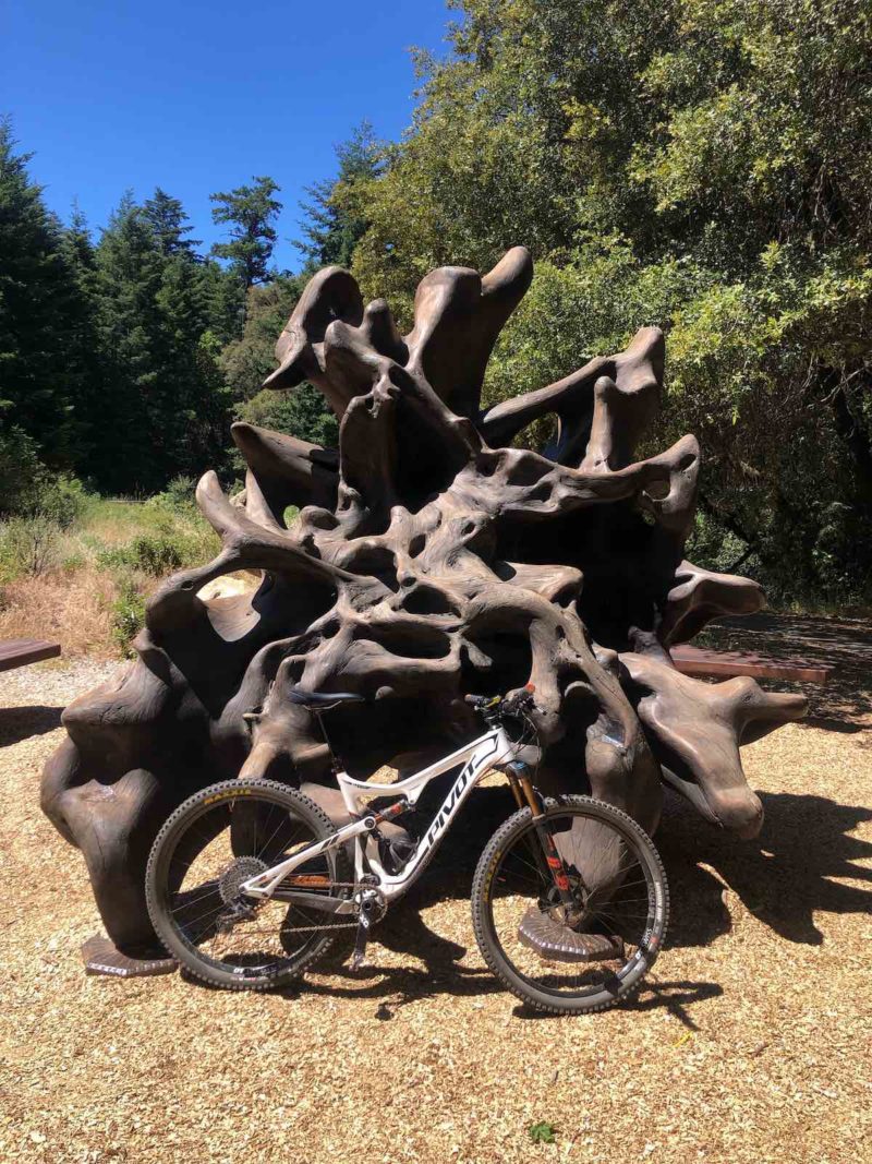 bikerumor pic of the day a mountain bike leans against a large upturned root mass that looks smooth they are in a gravel covered clearing surrounded by green leafy trees and clear blue skies