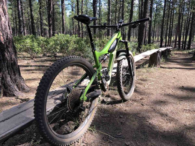 bikerumor pic of the day a mountain bike leans against a skinny balance beam next to a trail in a grove of pine trees, the sun is coming through in a dappled effect.