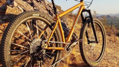 Never Mind the Bollocks, the Johnny Rotten Hardtail is back!