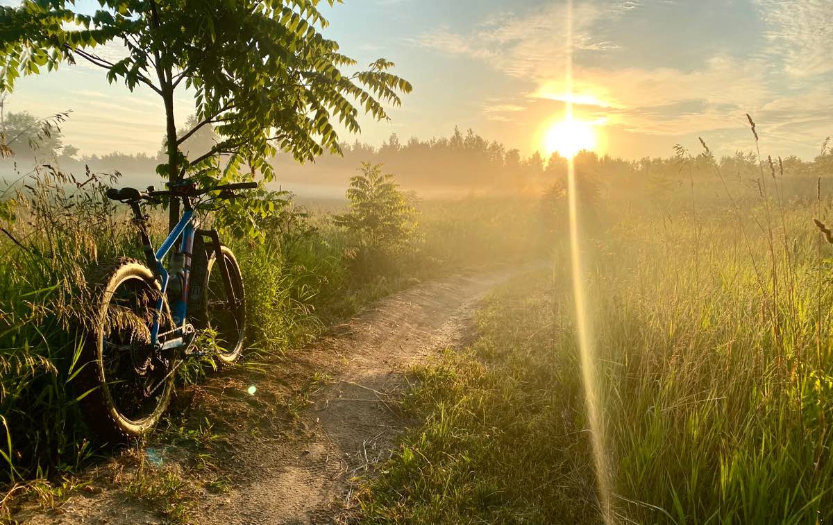 bikerumor pic of the day a mountain bike leans against a lone sapling along a dirt trail with the sun shining at the horizon creating a split ray of sun into the camera lens, the surroundings are golden in sunrise light.