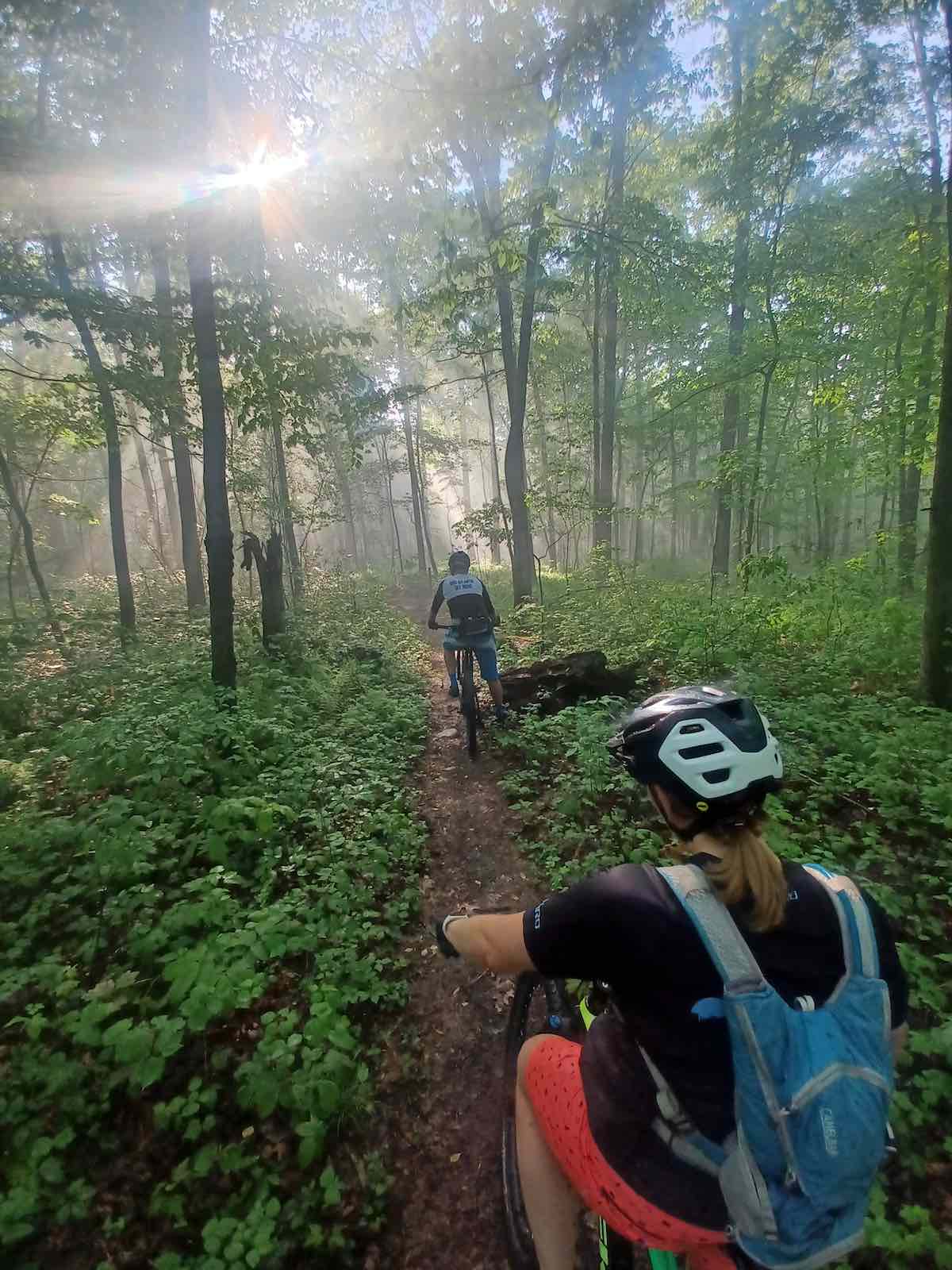 bikerumor pic of the day two cyclists riding on single trail between trees in forest with sun peeking out from the tree canopy.