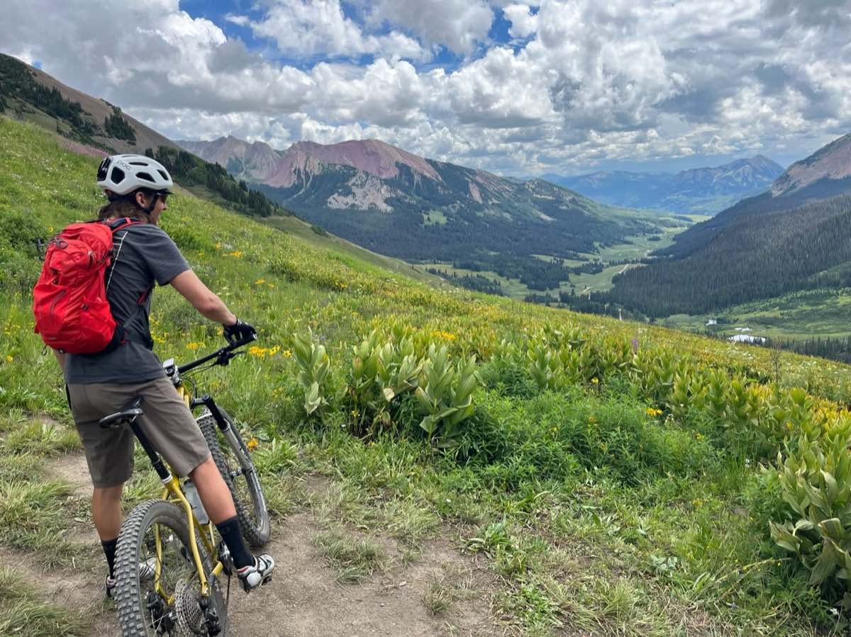 bikerumor pic of the day a cyclist on the side of a trail looks out over a grassy field overlooking a mountain range, the sky is full of fluffy clouds and the sun is high.