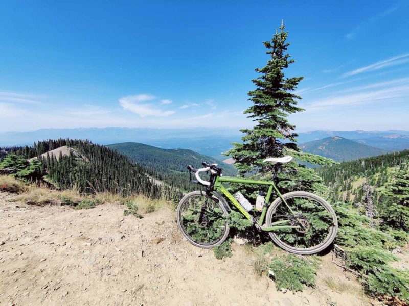 bikerumor pic of the day a green cannonade gravel bike leans against a lone pine tree on a ledge overlooking the mountains around idaho montana and canada the sky is bright