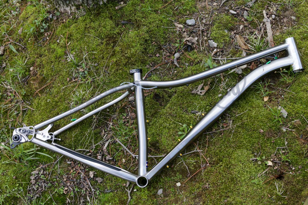 Why Cycles Big Iron V2 titanium fat bike frame