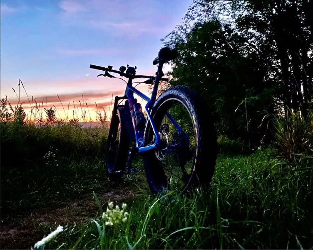 bikerumor pic of the day a fat bike in the grass at dawn with a blue and purple sky