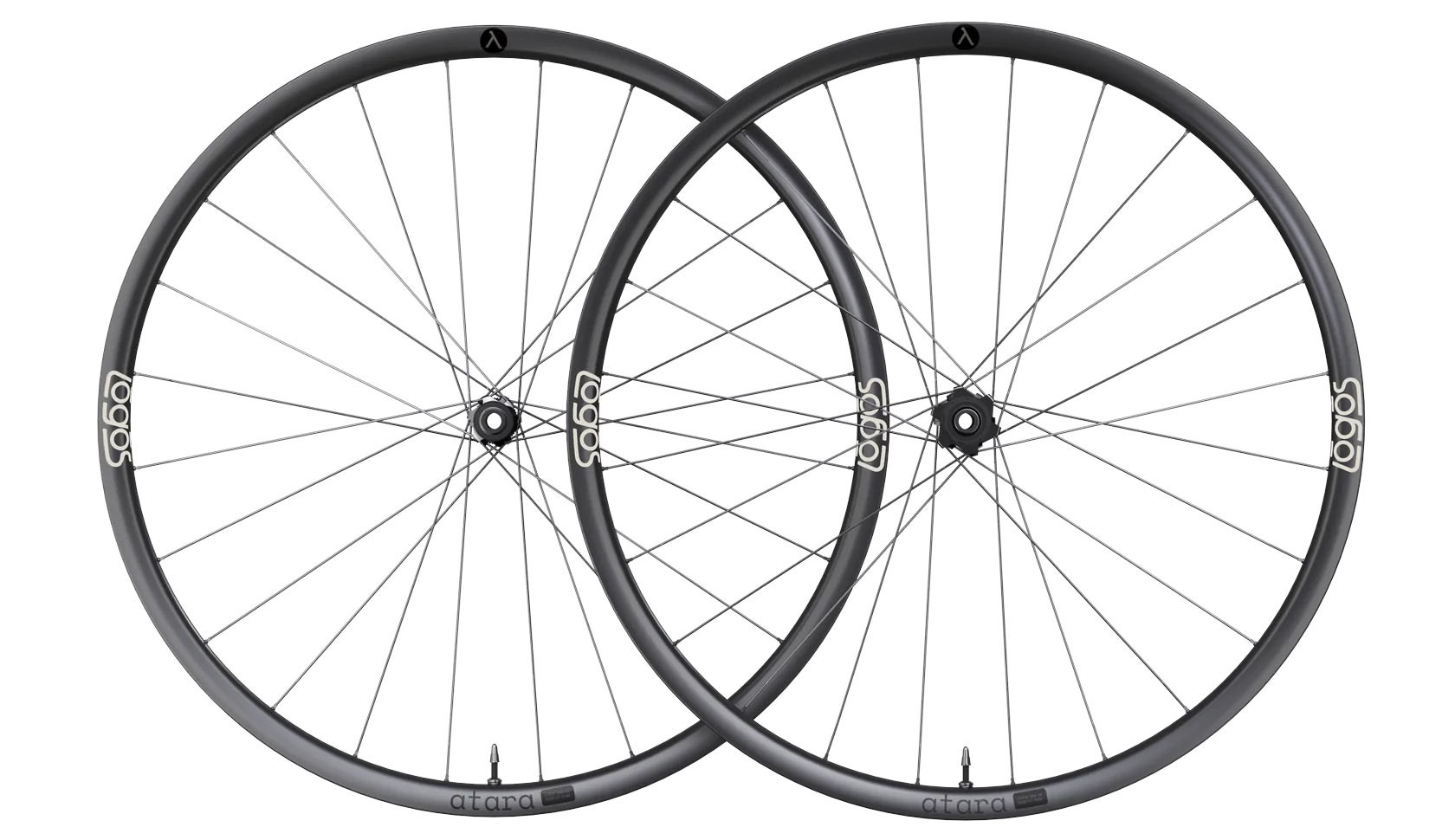 New Logos Omnium carbon wheels are affordable options for road, gravel ...