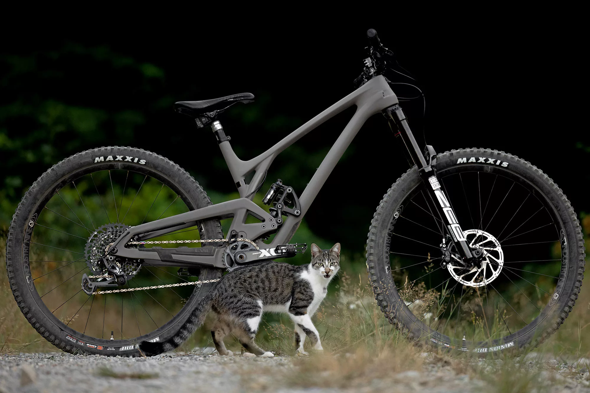 2022 Evil Wreckoning LS 166mm carbon enduro bike lightly salted updates, cats rule the internet