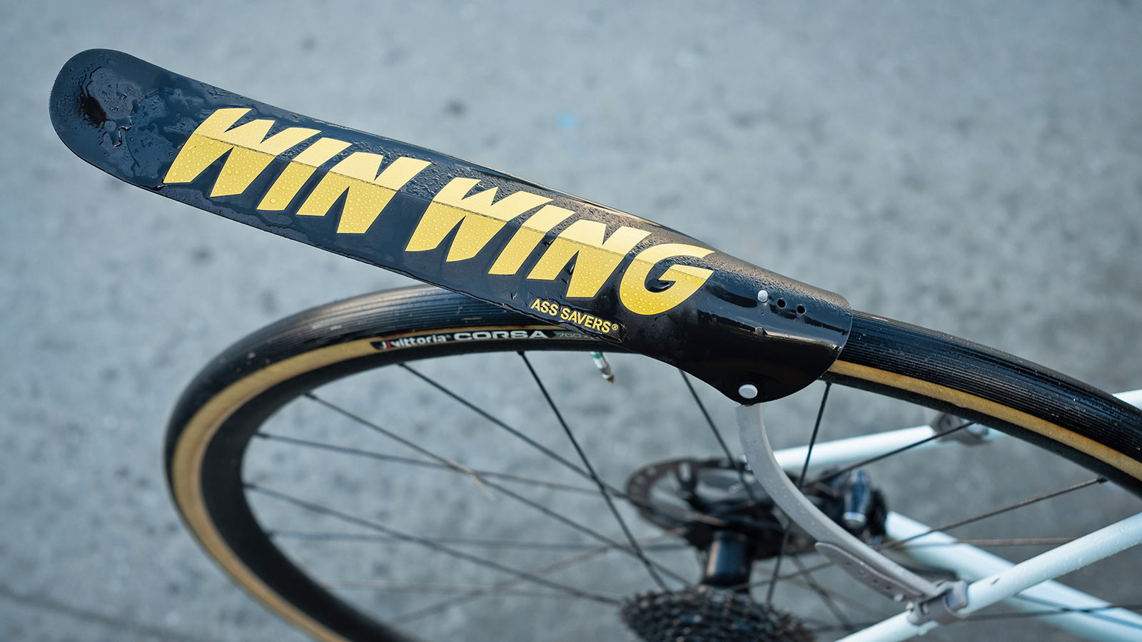 Ass Savers Win Wing minimalist lightweight strap-on gravel road bike rear fender, road wet