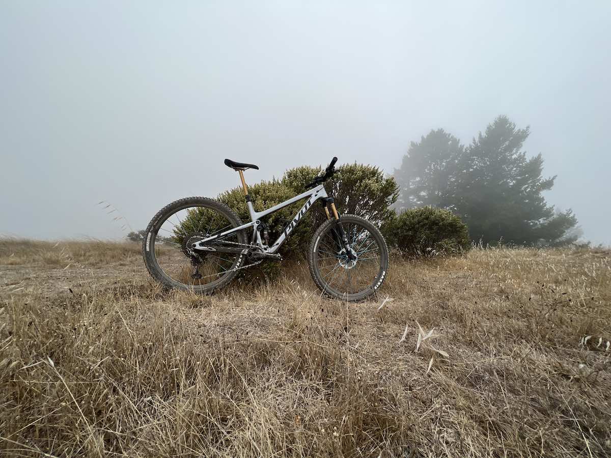 bikerumor pic of the day a mountain bike leans against a small shrub on a grassy field the fog is thick and covers all surrounding landscape.