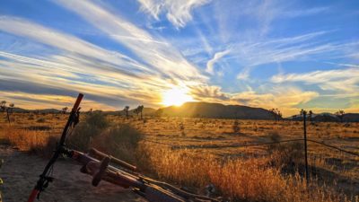 Bikerumor Pic Of The Day: Joshua Tree National Park, California