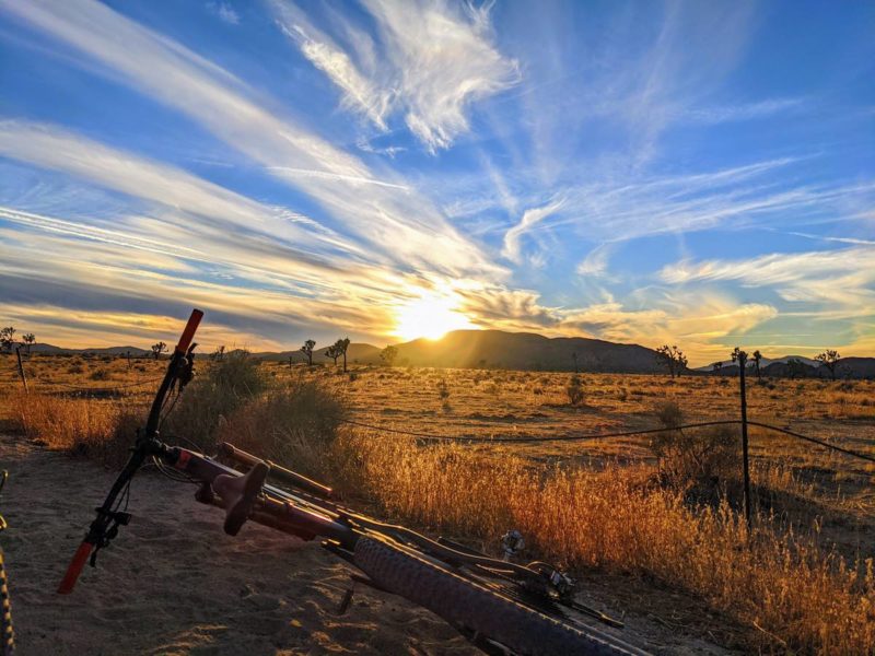 bikerumor pic of the day mountain bike leans on a dirt path with a valley of golden grasses and dotted with joshua trees as the sun sets in the distance creating a glow above the horizon.
