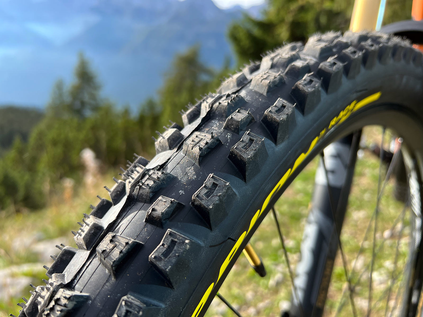 closeup of new pirelli race mountain bike tires
