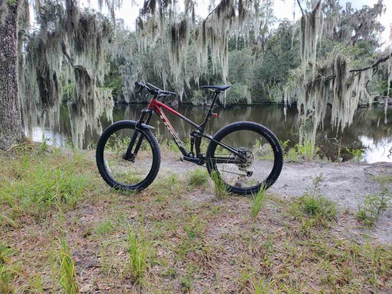 bikerumor pic of the day a Loyce Harpe park, bicycle is near a the side of a still lake and tree moss is hanging from a tree above the bike.